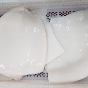 FILETE DE POTA CRUDO CONGELADO