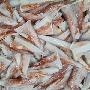 CONOS DE POTA CRUDOS CONGELADOS