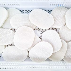 STEAKS DE POTA CONGELADOS