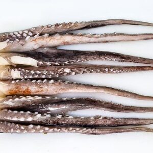 TENTÁCULOS DE POTA CORTE BAILARINA CRUDOS CONGELADOS