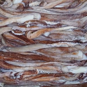 REPRODUCTORES DE POTA CONGELADOS