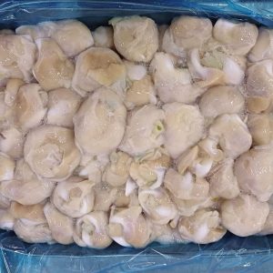 PICOS DE POTA CONGELADOS